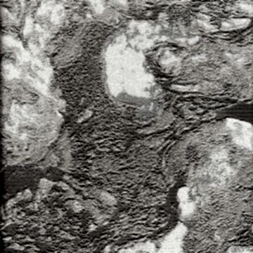 Vertu Killios 5009-5 Duvar Kağıdı