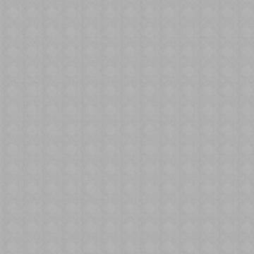 Akustik DL815803-03 Duvar Kağıdı